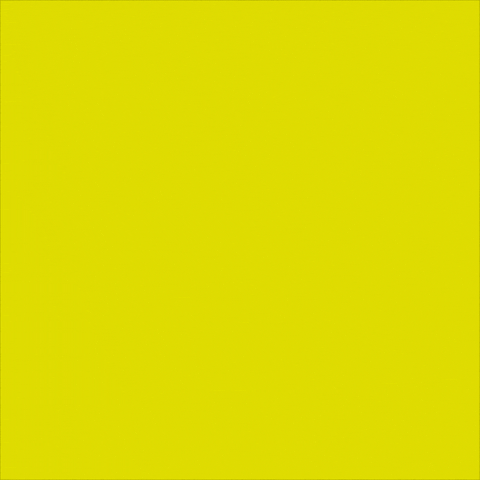 Womens Rights Women GIF by INTO ACTION Womens Rights Women GIF by INTO ACTION