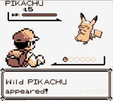 A Wild Pokemon Has Appeared GIF - A Wild Pokemon Has Appeared - Discover &  Share GIFs