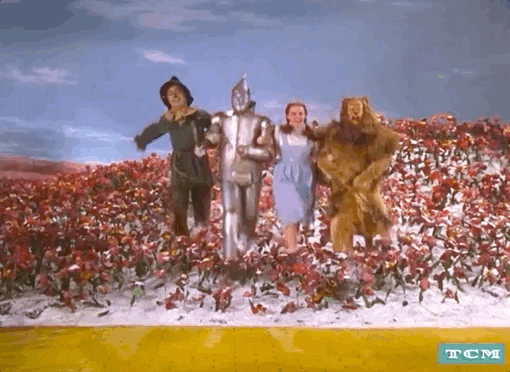 Wizard Of Oz GIF by Turner Classic Movies