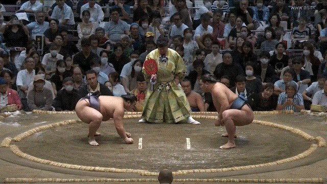 Tobizaru vs. Hoshoryu