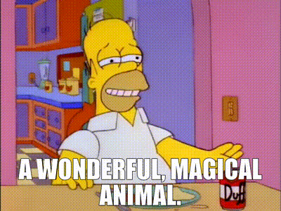 YARN | A wonderful, magical animal. | The Simpsons (1989) - S07E05 Comedy |  Video gifs by quotes | 4542c5d1 | 紗