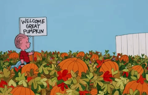 Great Pumpkin Linus GIF by Halloween - Find & Share on GIPHY