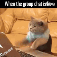 Group-chat GIFs - Get the best GIF on GIPHY
