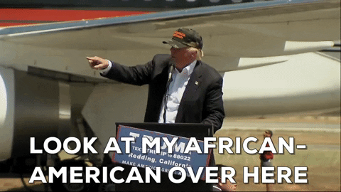 A GIF of Donald Trump saying, "Look at my African American over here."