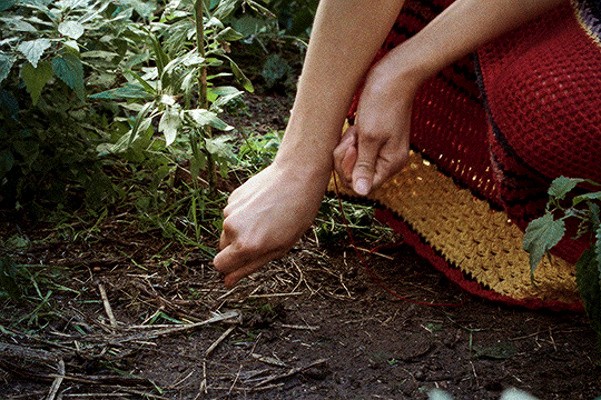 La Chimera (2023) dir. Alice Rohrwacher