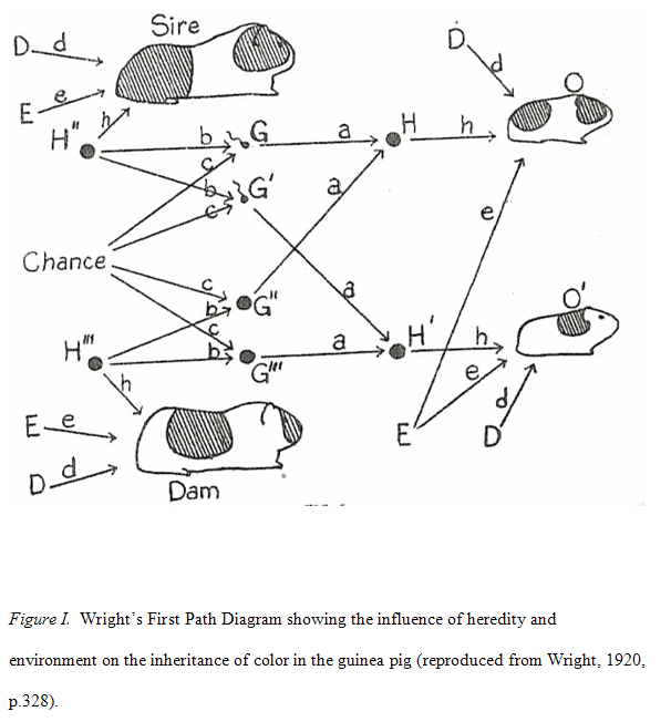 ORIGINS OF PATH ANALYSIS: Causal Modeling and the Origins of Path Analysis