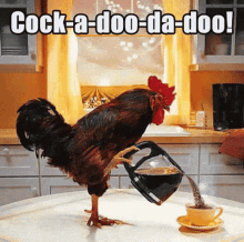 Cockadoodledoo Chicken Sound GIF - Cockadoodledoo Chicken ...