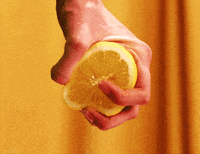 Squeeze-orange GIFs - Get the best GIF on GIPHY
