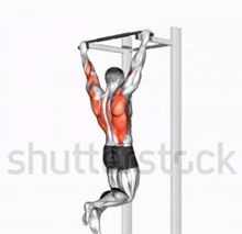 Pull Ups GIFs | Tenor Pull Ups GIFs | Tenor