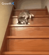 Cat sliding down wooden stairs head first. Stairs labeled Monday, Tuesday, Wednesday, Thursday, Friday.