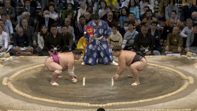Grand sumo: Kirishima (black) defeats Daieisho (magenta).
