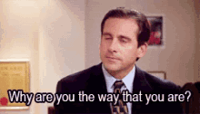gif of Michael Scott asking "why are you the way you are?"