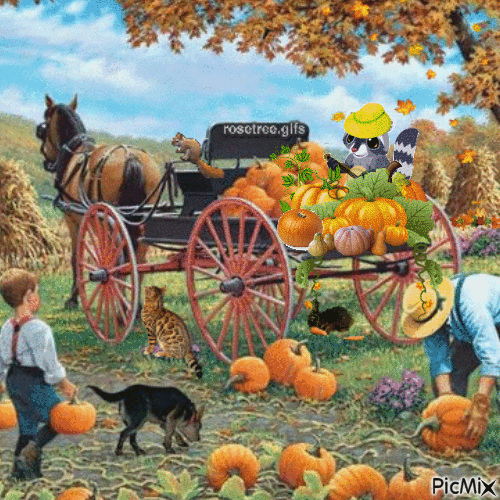Harvest Time - Free animated GIF - PicMix