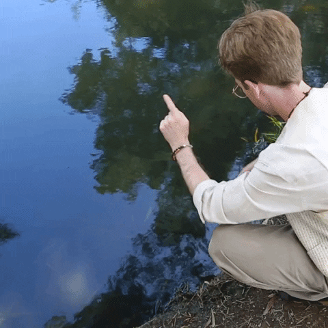 A person crouched next to a pond touches the water and the words good morning appear.