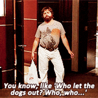 Explore who let the dogs GIFs