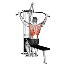 Lat Pulldown Exercise GIF - Lat Pulldown Exercise Workout - Discover &  Share GIFs