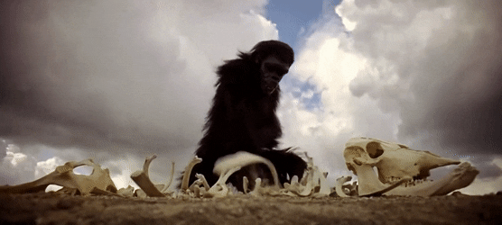 Best Ape Space Breaking Bones GIFs | Gfycat