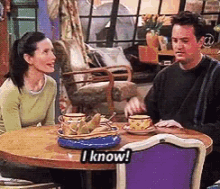 I Know Monica GIFs | Tenor