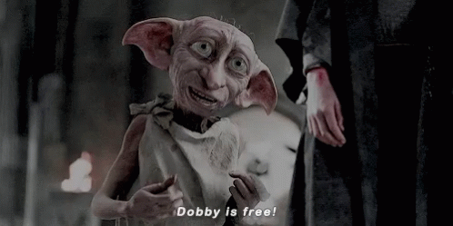 Im Free Dobby Is Free GIF - Im Free Dobby Is Free Freedom - Discover &  Share GIFs