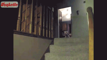 Charlie From Willie Wonka And The Chocolate Factory Is All Grown Up! Tabs, Tues., Dec. 5, 2023