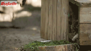 Dark Roast Color Changing Mug! Tabs, Wed., Sept. 20, 2023