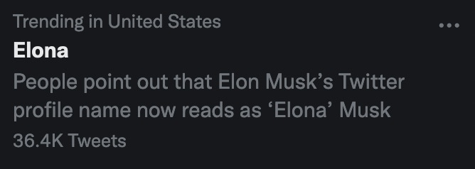 Elona: People point out that Elon Musk's Twitter profile name now reads as 'Elona' Musk