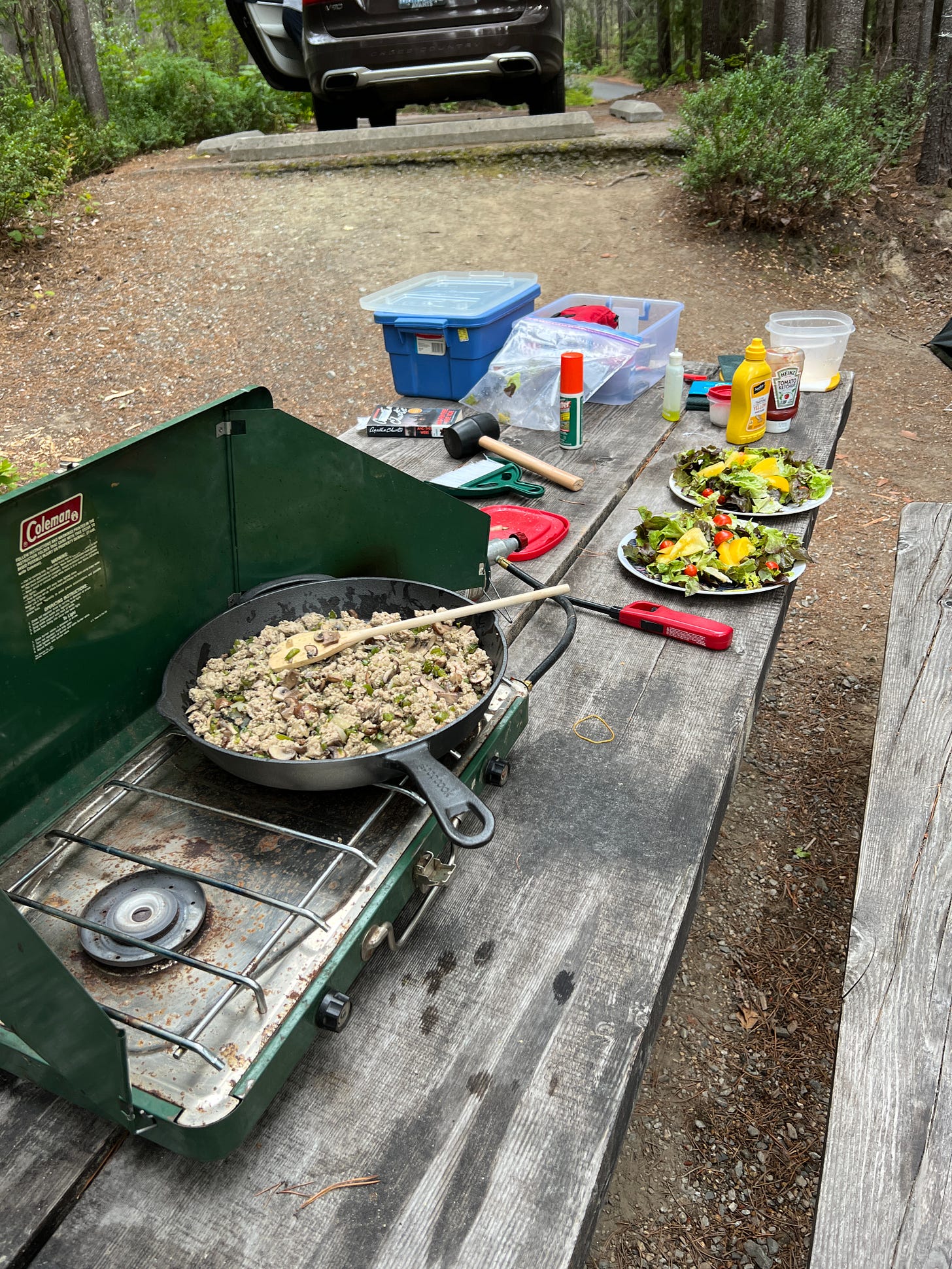 Cooking dinner on picnic table