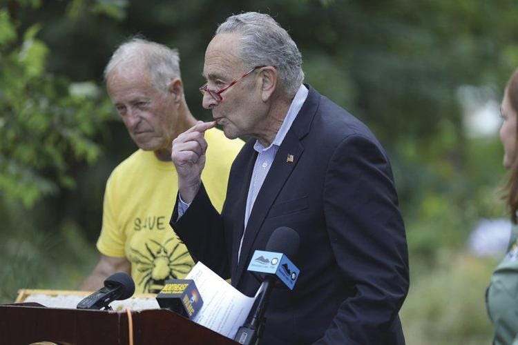 Image of Sen. Schumer tasting honey. Image of Sen. Schumer tasting honey.