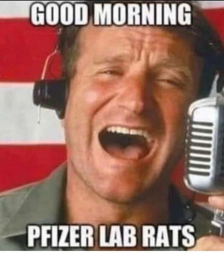 Good Morning Pfizer Lab Rats