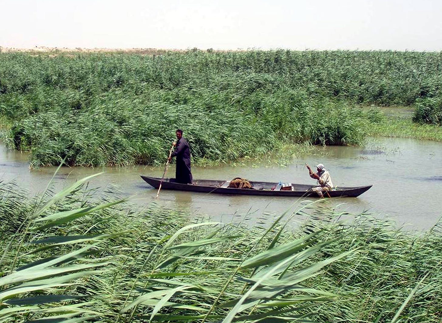 Image result for southern iraq marshes