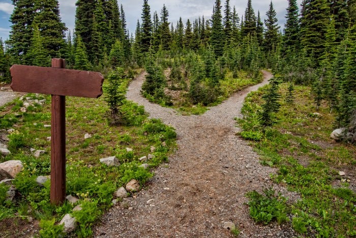 A forest path with a fork in the road. Two distinct paths to the left and to the right exist, and both of them seem equally used. A blank wooden signboard is up front.