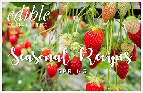 spring recipe ebook download