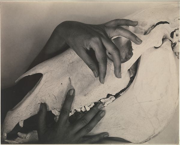 Alfred Stieglitz - GOK hands & horse skull