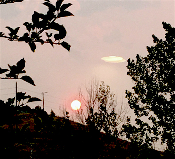 UFO in the sky above a house with a pink sun setting