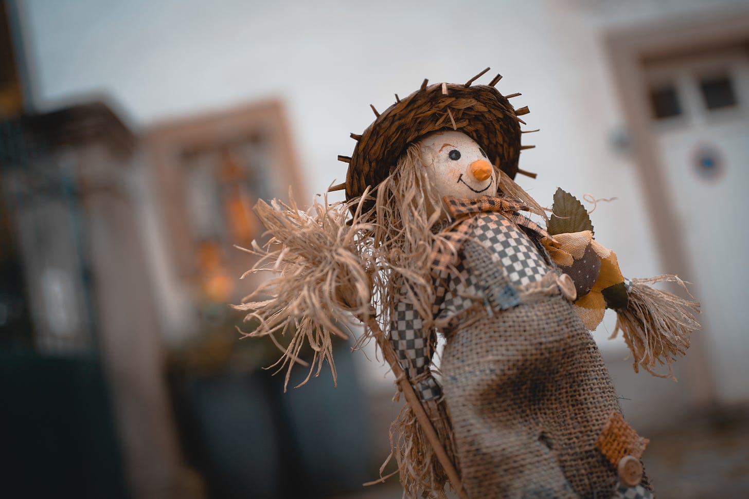 Scarecrow. Photo by Michel Stockman on Unsplash