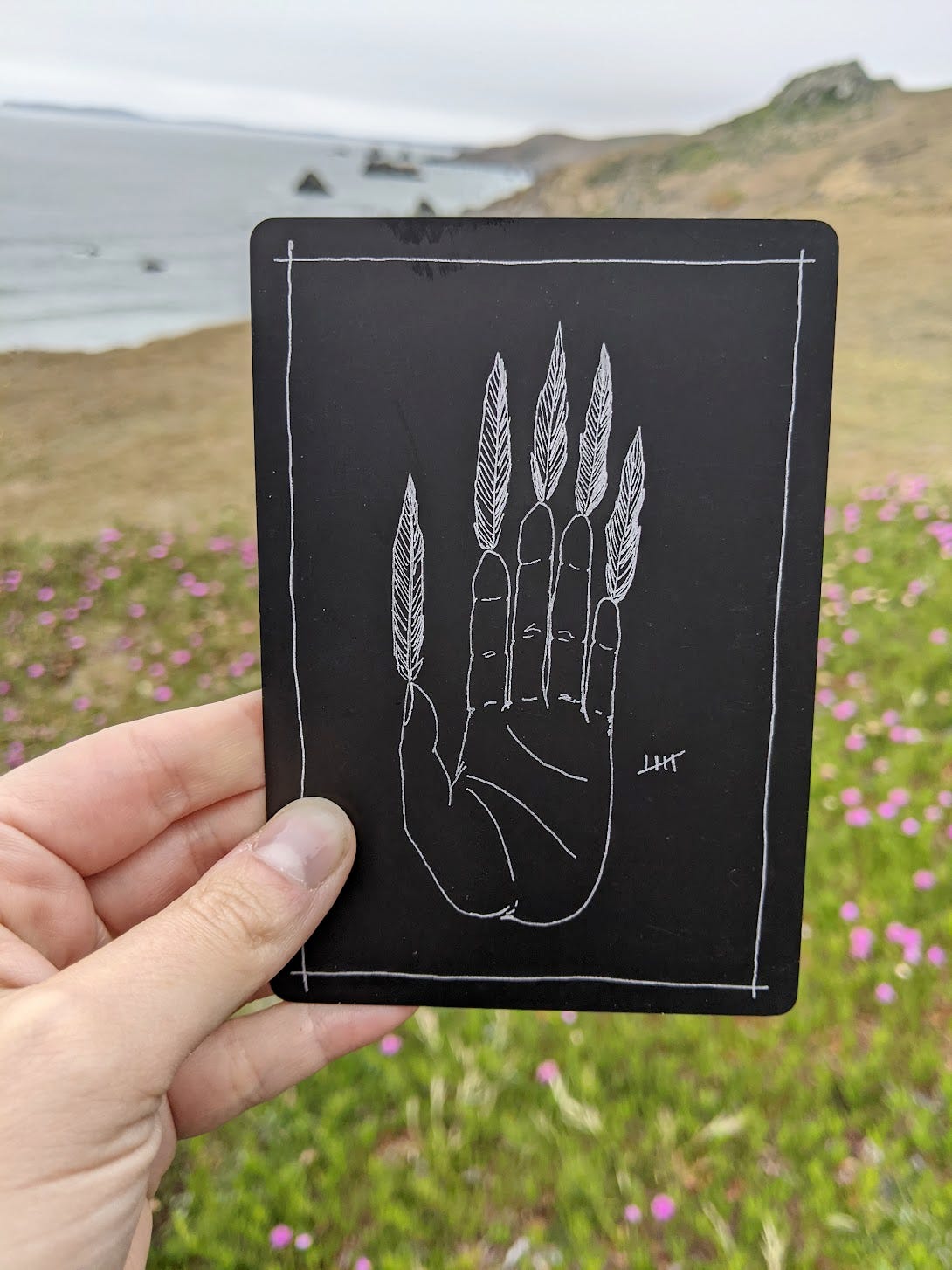 A hand holds up a tarot card from the Wanderer's Tarot deck. The card is black, the Five of Feathers, featuring an illustration of an open palm with a feather extending from each fingertip. The card is being held up outside, and you can see hills and a rocky coastline in the background.
