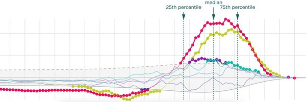 What is a Senior Data Visualization Engineer?