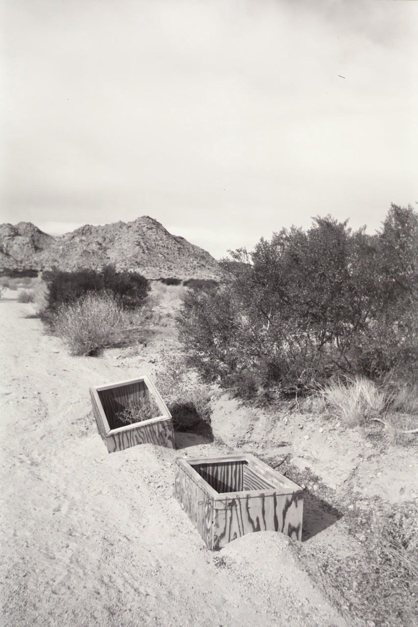 Empty ammo crates in the Mojave desert with creosote bushes.