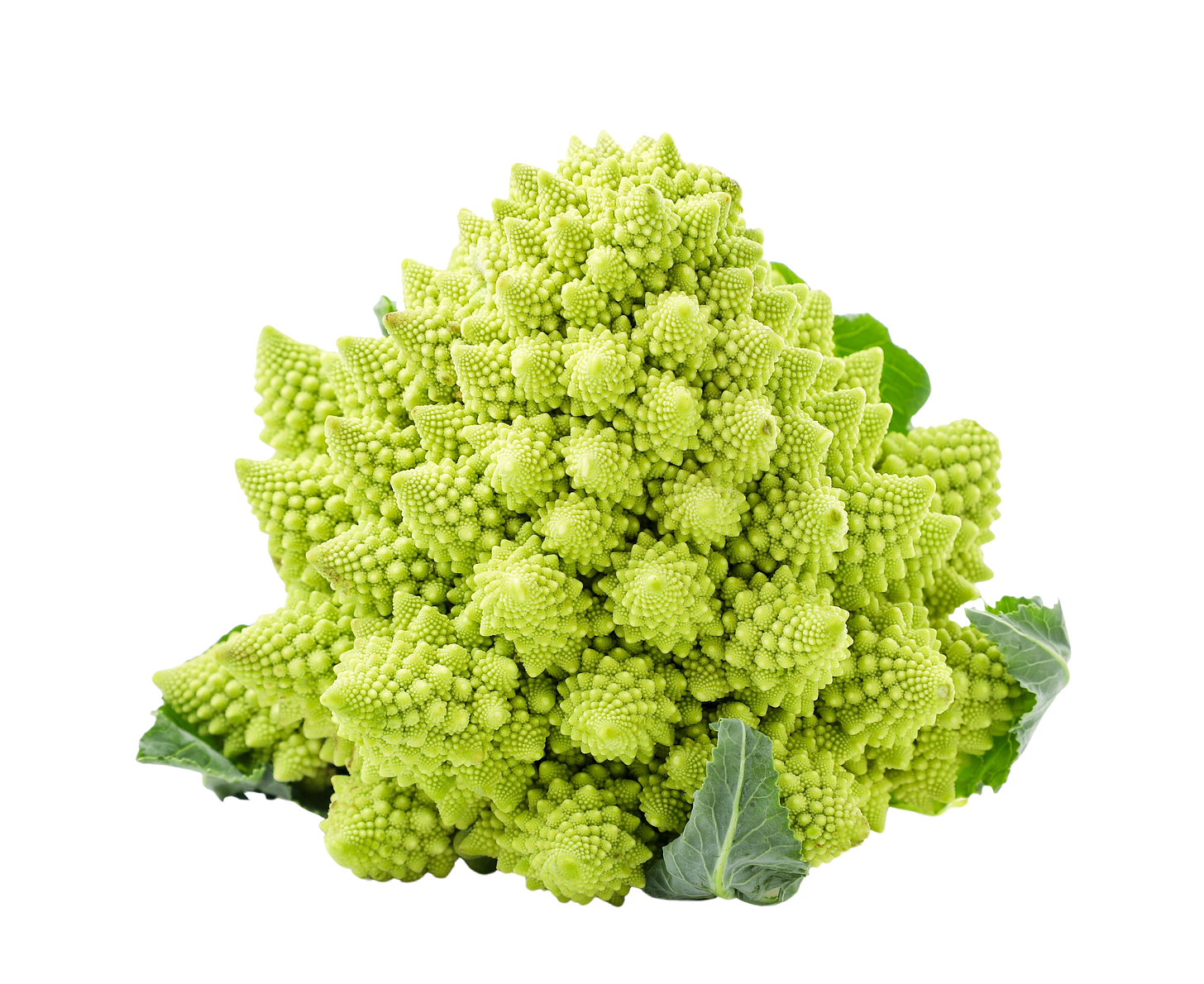 Alright, blind people, ever felt a pinecone? Imagine lots of pinecones of smaller and smaller size smooshed together into one freaky looking vegetable, that's the Romanesco cauliflower for you.