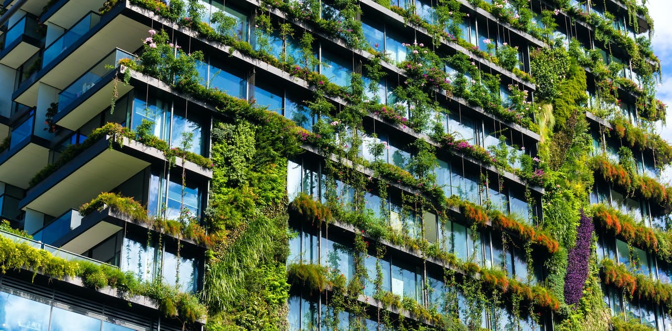 Picture of office block with plants growing on the walls in urban greening design