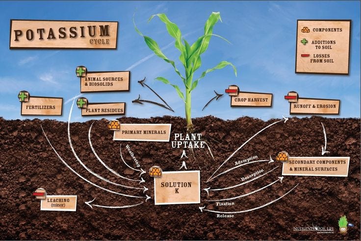 Potassium Geochemical Cycle Poster | Classroom lesson plans, Science  lessons, Classroom lessons