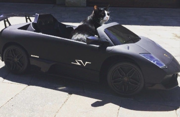 Deadmau5's Cat Has a Lamborghini Power Wheels Battery Car - autoevolution