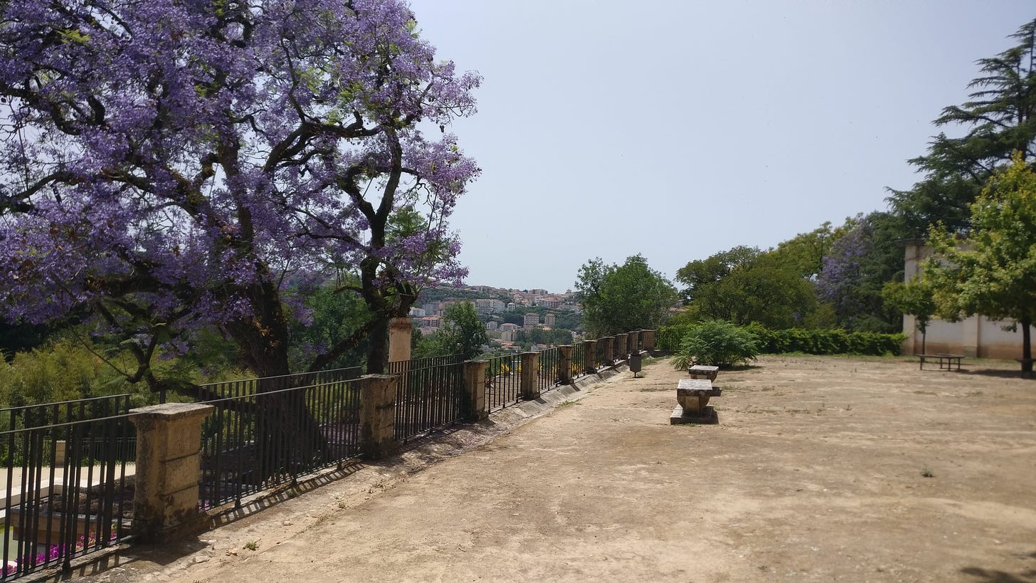 The botanical gardens in Coimbra. On the left is a purple flowering tree. In the middle is the city in the distance. On the right is a plaza with two benches