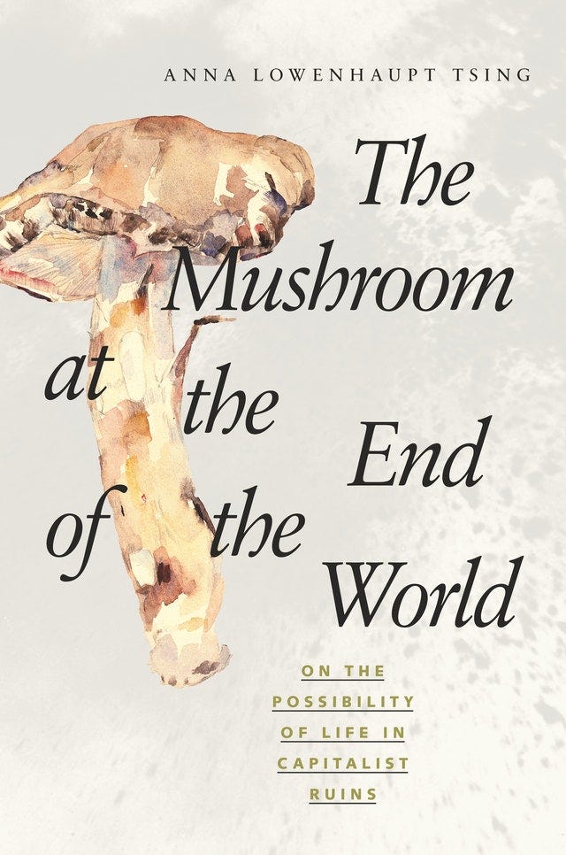 The Mushroom at the End of the World cover art