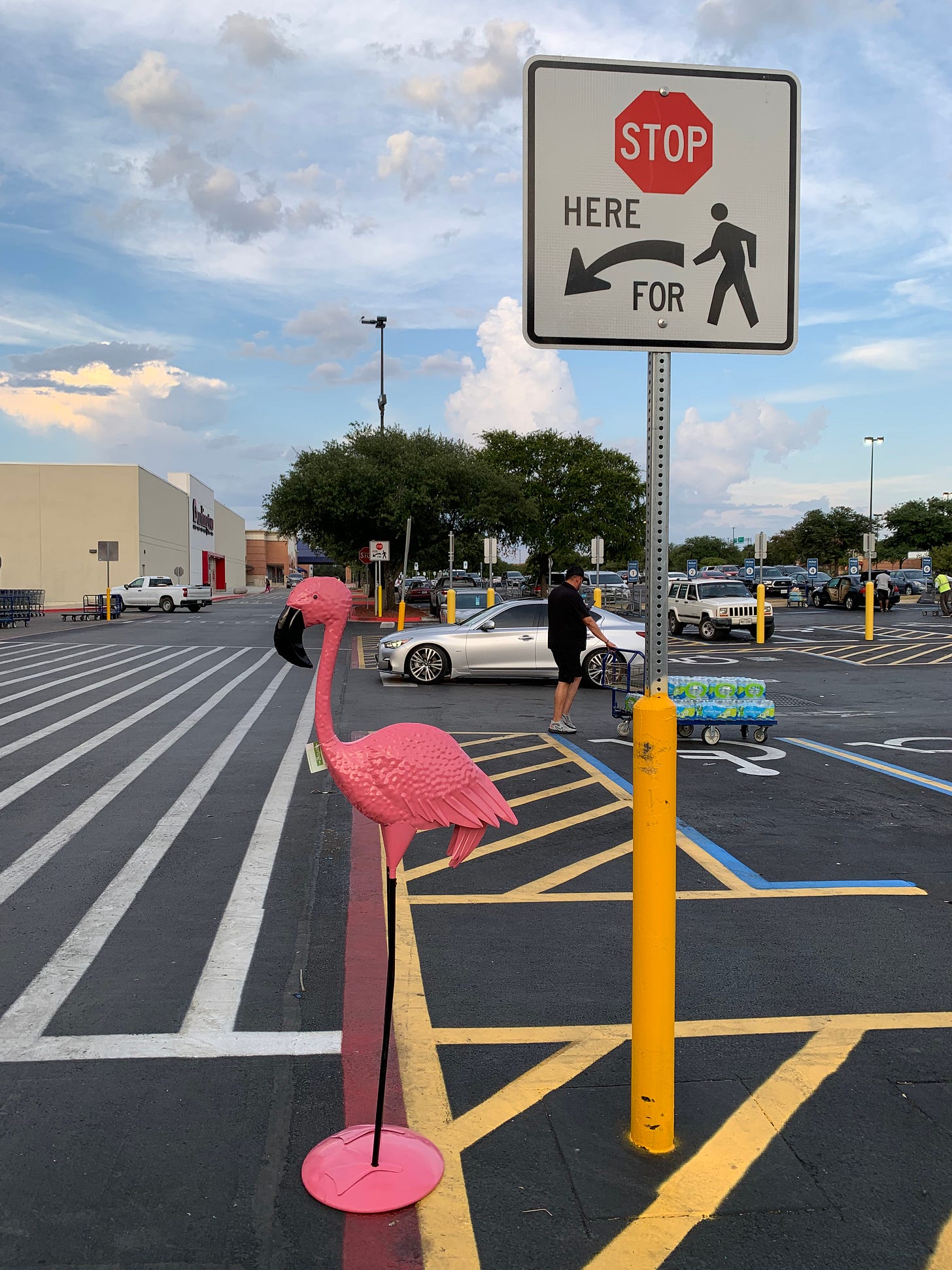 A metal pink flamingo waits to cross the road in front of Sam's Club, Round Rock. 