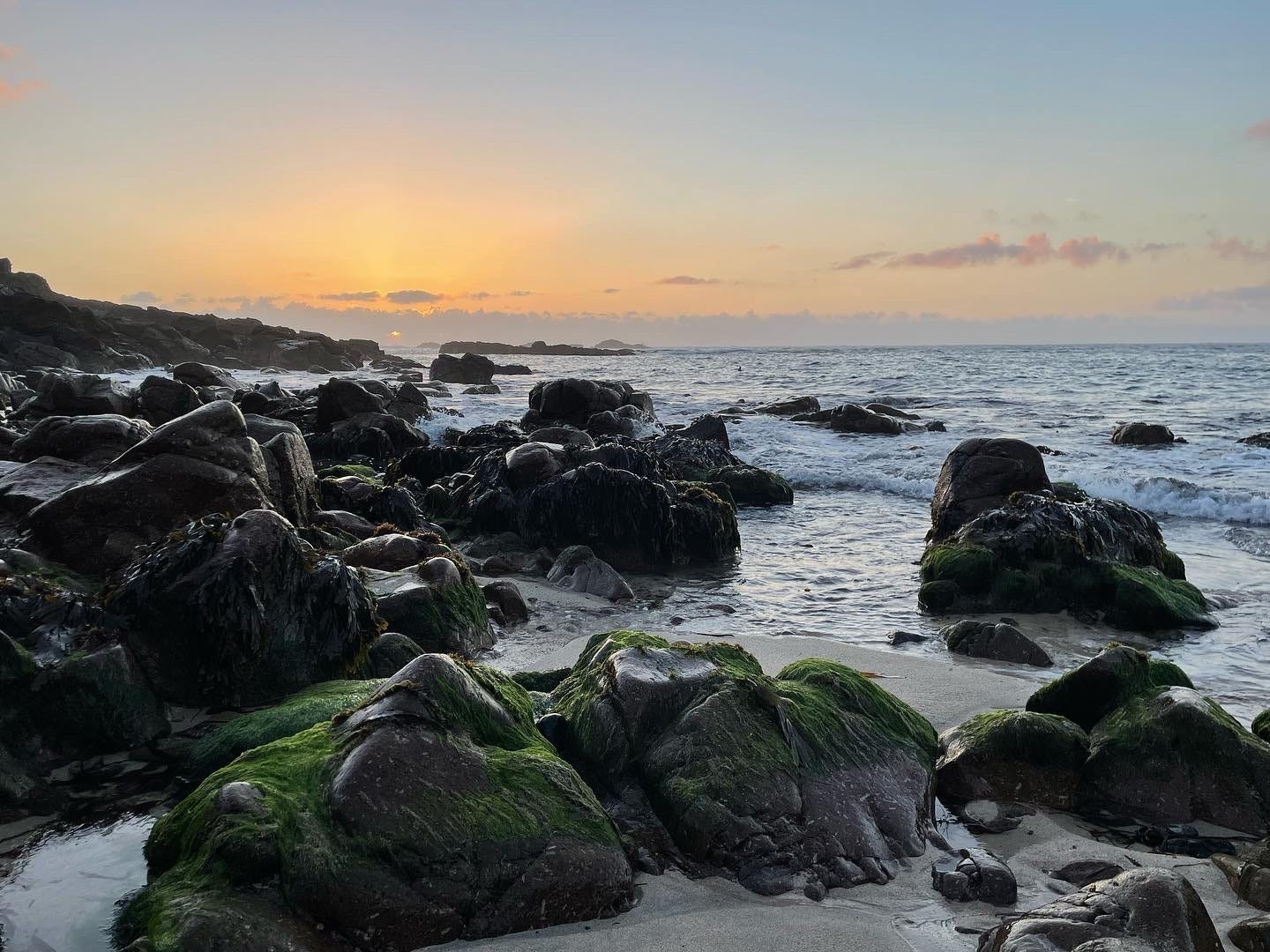 Colour photo of a beach at sunset with seaweed covered rocks and the sun setting behind the waves.