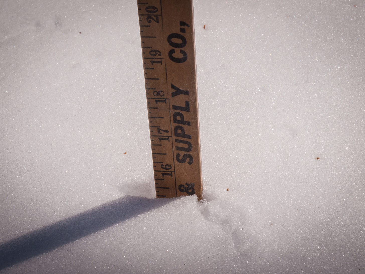 fifteen inches plus