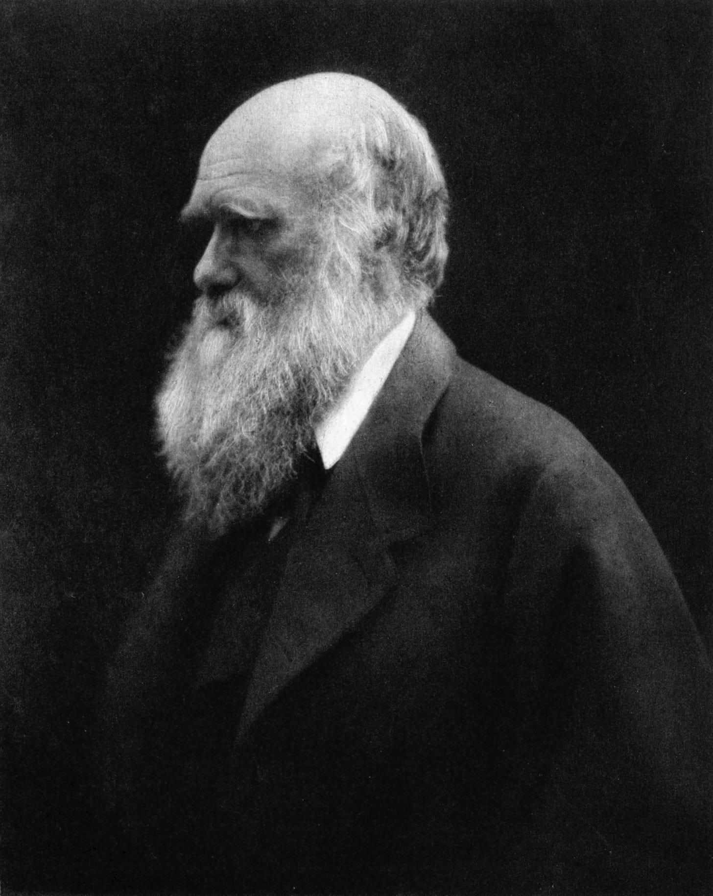 Darwinism - Wikipedia