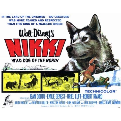 Quad theatrical release poster for Walt Disney's Nikki, Wild Dog Of The North