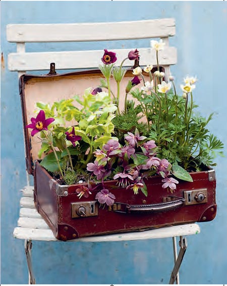 Upcycle a Vintage Suitcase into a Garden - Craftfoxes